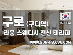 구로 구디역 [라움스웨디시] 이미지