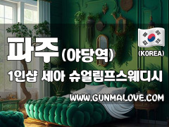 파주 야당역 1인샵 [세아] 이미지