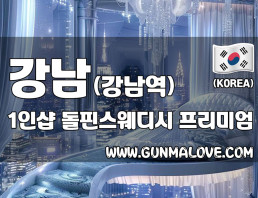 강남 강남역 1인샵 [돌핀스웨디시] 이미지