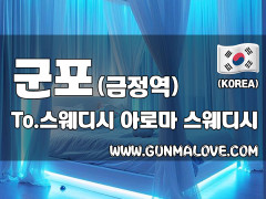 군포 금정동 [투스웨디시] 이미지